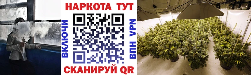 Что такое Бородино НБОМе АМФ Меф A PVP КОКАИН