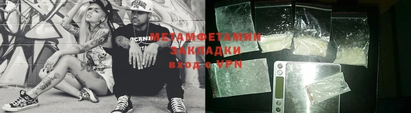 индика Фёдоровский