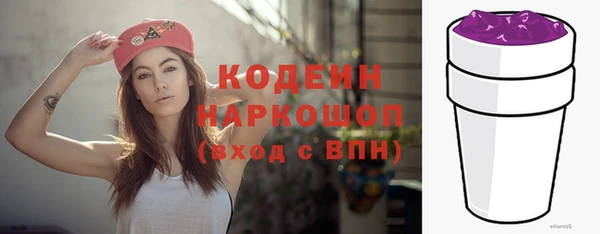 хмурый Белокуриха