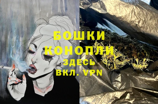 хмурый Белокуриха