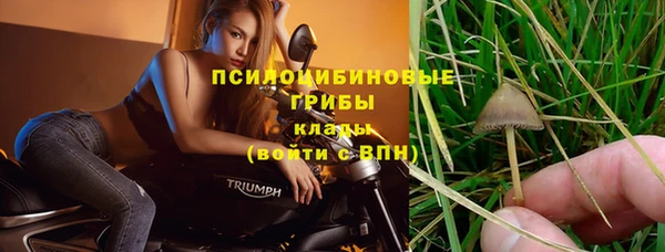 трава Белоозёрский